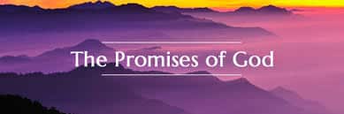 Receiving Promises Should Be Christ-Exalting
