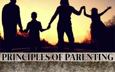 The Great Opposition Against Parenting Within the Home