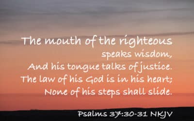 The Wise Mouth of the Righteous