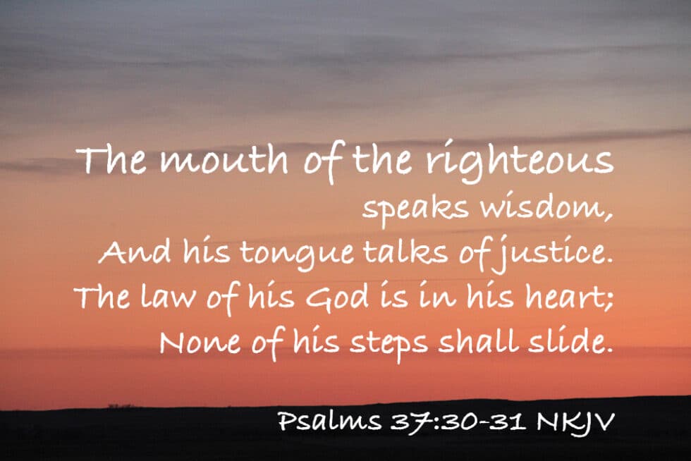 The Wise Mouth Of The Righteous Redeemer Bible Fellowship 