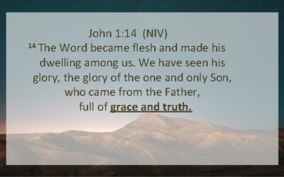 The Attributes of the Son That Brought Forth Our Salvation