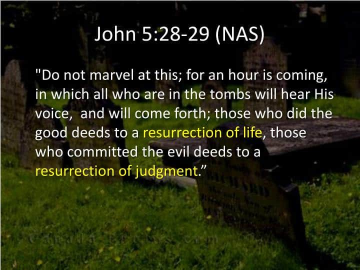 Why The Judgment Matters Redeemer Bible Fellowship Expository 