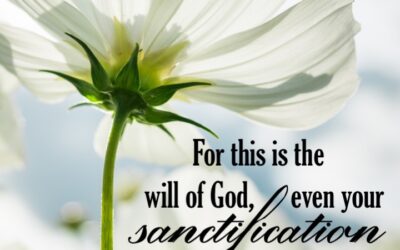 What do we do in our pursuit of sanctification?