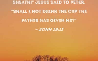 The Cup that Christ Drank