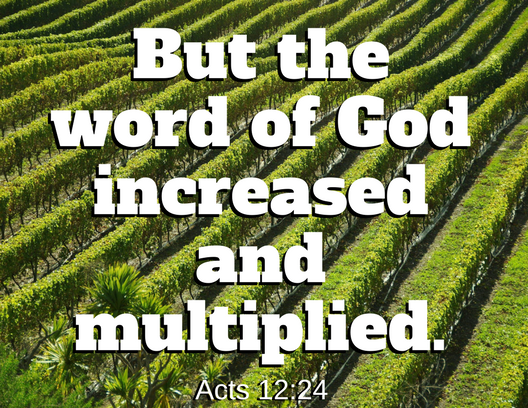The Church Was Built in Acts as the Word Was Spreading