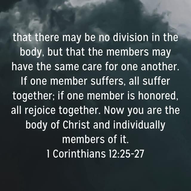 God Composes the Body of Christ for the Common Good of the Body