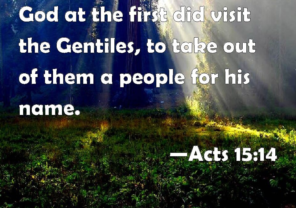 Saved to Exalt God’s Name