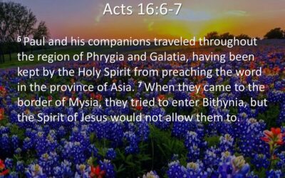 God’s Providence in Salvation