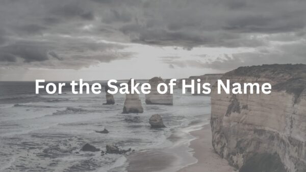 For the Sake of His Name – Week 7 Image