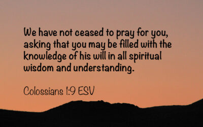The Need for Insightful Knowledge that Should Guide our Prayers